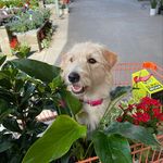 Gidget Jackson - @gidgetjacksonbroker - Instagram