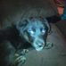 Gidget Johnson - Facebook