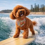 Gidget Collins-Jones - @gidget_jones_diary - Instagram