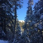 Gidget Jones - @highonhike - Instagram