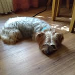 Gidget Jordan - Facebook