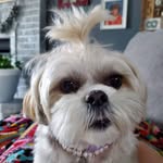 Gidget Long - @gidget0201 - Instagram