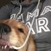 Gidget Marrison - Facebook