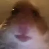 Hey! - @fidget.moree - TikTok