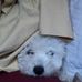 Gidget Murphy - Facebook