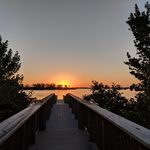 Gidget Owens - @alagidget - Instagram