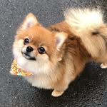 Gidget Perry - @therealgidgetperry - Instagram