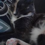 Gidget Ross - @gidgygirl2236 - Instagram