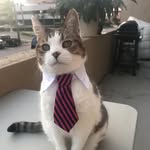 Gidget Claire Thomas - @gidgetclaire - Instagram