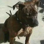 gidget thompson - @gidget_t - Instagram