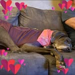 Gidget Vickers Verdi - @g_verdi - Instagram