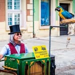 GidgetWells - @gidgetwells - Instagram