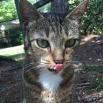 Gidget - @gidget_marie_white - Instagram