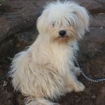 Gidget White - @gidget_e_ - Instagram