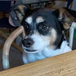 Gidget Wilson Kidd - @gidgetk - Instagram
