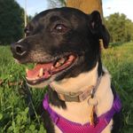 Gigi Abbott - @gigi_thelittlesausage - Instagram