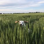 Gigi Gant - @gopo.45 - Instagram
