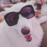 Gigi Gantert - @gigi.gantert - Instagram