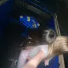 Gigi Green - @gigi.green72 - TikTok