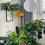 Góc xanh nhà GiGi - @gigigreenyhome - Instagram