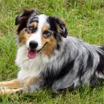 Gigi Hall - @bn9zsf123 - Instagram
