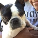 Gigi Pierre Love - @gigipierrelove - Instagram