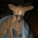 Steele Blu & Gigi Rone - @steeleblu_and_gigi - Instagram