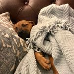 Gigi Walker - @gigi_fromthesouth - Instagram