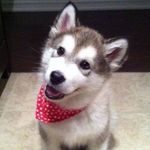 Gigi Walker - @gigiwalker5800 - Instagram