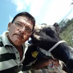 Gil Barreto - @gidalte2015 - Instagram