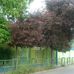 Colegio Gil De Castro - Facebook