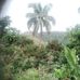 Gil Castro - Facebook