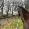 Gill Lyon - @gillianlyon18 - TikTok