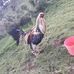 Gil Miranda - Facebook