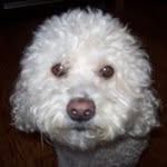 Gil Padilla - @gilpadilla4862 - Instagram