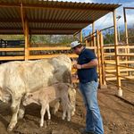 Gilberto Padilla Velarde - @gil_padilla_jr - Instagram