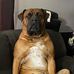 Gil Park - Facebook