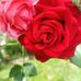 Gil Ramos - Facebook