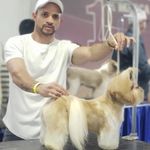 Gil Ramos - @gil_groomer - Instagram