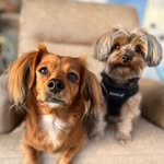 GilSi - @gila_silberman - Instagram