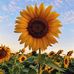 Meteorogist Gil Simmons - Facebook