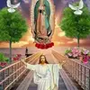 Gil Tapia - @gil.tapia6 - TikTok