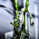 Gilbert Acevedo - @_globalshots - Instagram
