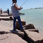 Gilbert Acevedo - @aceve_dog - Instagram