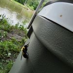 Gilbert Aragon - @gilbert.aragon.712 - Instagram
