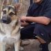 Gilbert Arispe - Facebook
