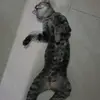 Gilbert Avila - @gilbert.avila3 - TikTok