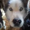 Gilbert Bahe - @gilbert.bahe - TikTok