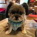 Gilbert Bailey - Facebook