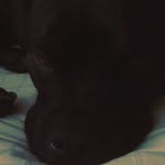 Gilbert Benson - @toyotiastel - Instagram